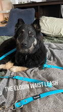 Load image into Gallery viewer, The Hundr Waist Leash
